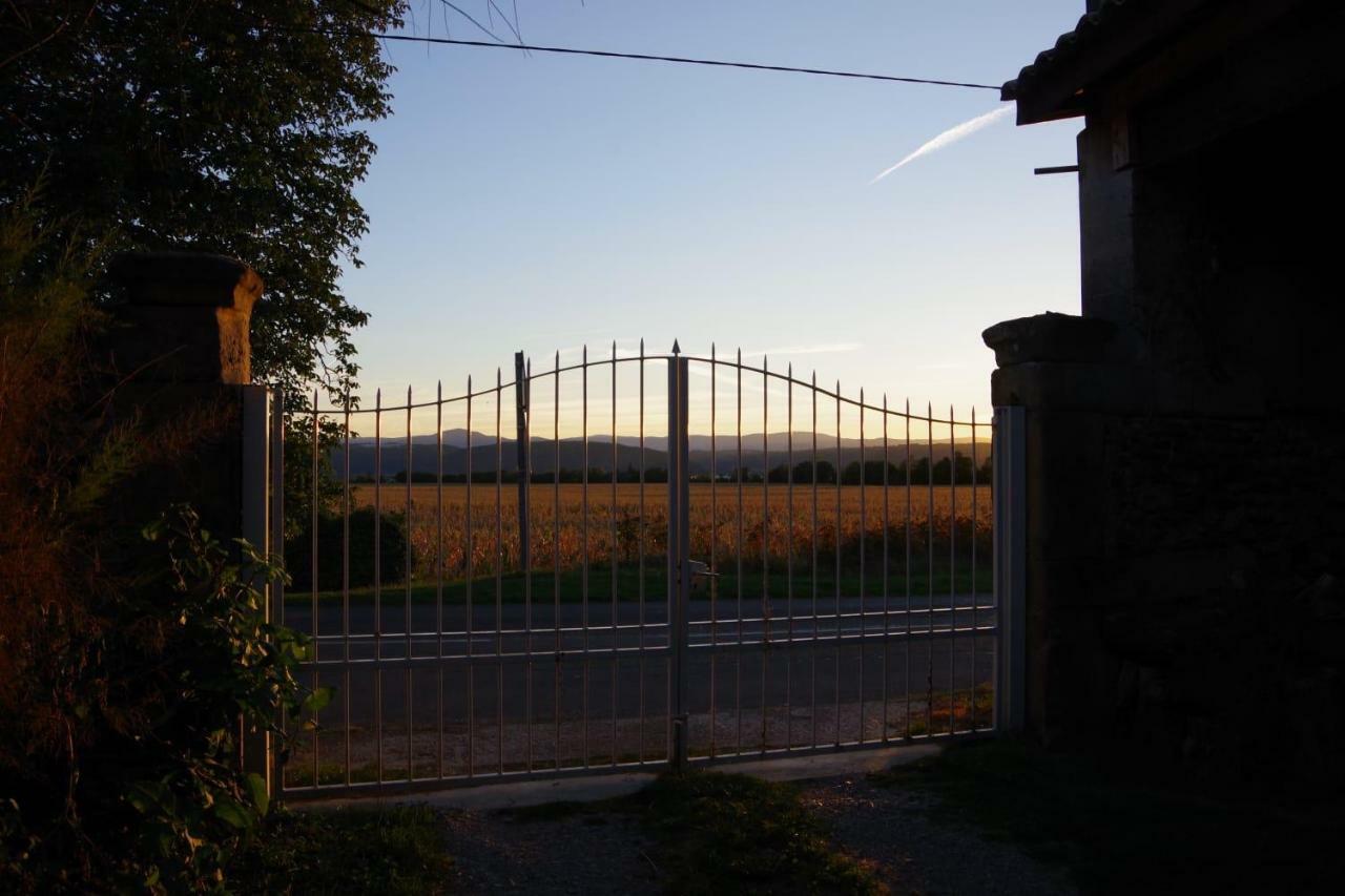 Magnificent Renovated Farmhouse - 10 Min A7 - Anneyron Exterior foto