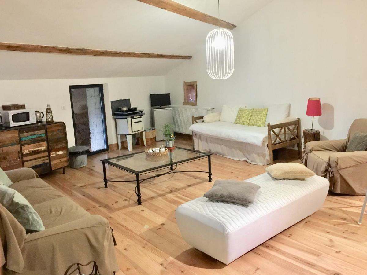 Magnificent Renovated Farmhouse - 10 Min A7 - Anneyron Exterior foto